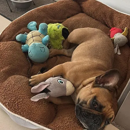 Modern&quiet Twin With Shared Bathroom * Слима