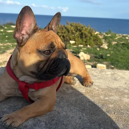 Kwatera prywatna Modern&quiet Twin With Shared Bathroom *